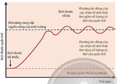 Lý thuyết Sinh 12 Chân trời sáng tạo Bài 21: Quần thể sinh vật