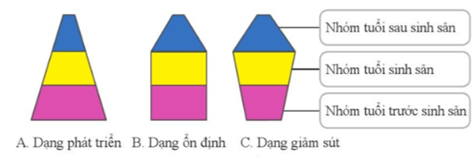 Lý thuyết Sinh 12 Chân trời sáng tạo Bài 21: Quần thể sinh vật