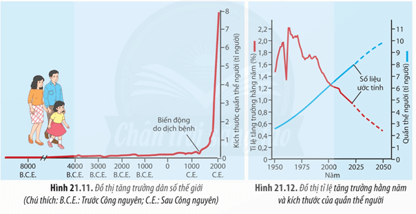 Lý thuyết Sinh 12 Chân trời sáng tạo Bài 21: Quần thể sinh vật