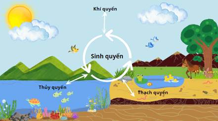 Lý thuyết Sinh 12 Chân trời sáng tạo Bài 25: Hệ sinh thái