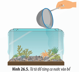 Lý thuyết Sinh 12 Chân trời sáng tạo Bài 26: Thực hành: Thiết kế hệ sinh thái