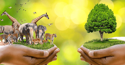 Lý thuyết Sinh 12 Chân trời sáng tạo Bài 27: Sinh thái học phục hồi và bảo tồn