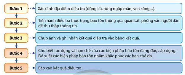 Lý thuyết Sinh 12 Chân trời sáng tạo Bài 27: Sinh thái học phục hồi và bảo tồn
