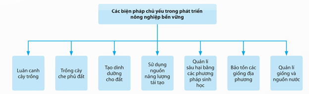 Lý thuyết Sinh 12 Chân trời sáng tạo Bài 28: Phát triển bền vững