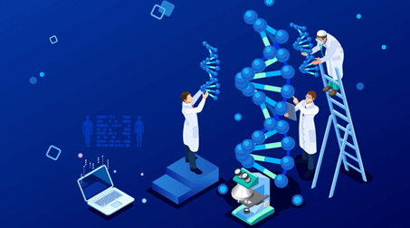 Lý thuyết Sinh 12 Chân trời sáng tạo Bài 4: Hệ gene, đột biến gene và công nghệ gene