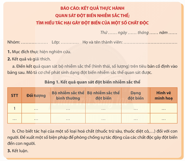 Lý thuyết Sinh 12 Chân trời sáng tạo Bài 6: Thực hành: Quan sát đột biến nhiễm sắc thể; Tìm hiểu tác hại gây đột biến của một số chất độc