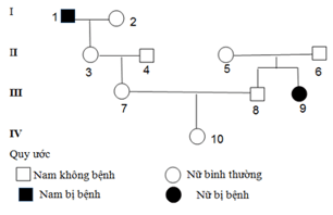 Trắc nghiệm Sinh học 12 Chân trời sáng tạo Bài 14 (có đáp án): Di truyền học người