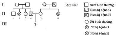 Trắc nghiệm Sinh học 12 Chân trời sáng tạo Bài 14 (có đáp án): Di truyền học người