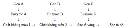 Trắc nghiệm Sinh học 12 Chân trời sáng tạo Bài 7 (có đáp án): Di truyền học Mendel và mở rộng học thuyết Mendel