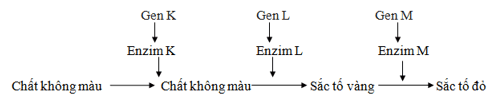 Trắc nghiệm Sinh học 12 Chân trời sáng tạo Bài 7 (có đáp án): Di truyền học Mendel và mở rộng học thuyết Mendel