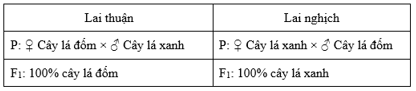 Trắc nghiệm Sinh học 12 Chân trời sáng tạo Bài 9 (có đáp án): Di truyền gene ngoài nhân