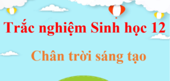 500 câu trắc nghiệm Sinh học 12 Chân trời sáng tạo (có đáp án) | Trắc nghiệm Sinh 12