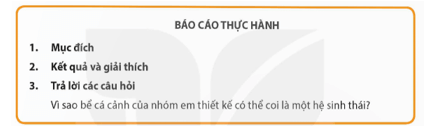 Sinh 12 Kết nối tri thức Bài 32: Thực hành: Thiết kế một hệ sinh thái nhân tạo | Giải Sinh học 12