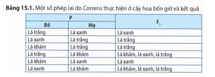 Quan sát Bảng 15.1, hãy nhận xét chung về kết quả các phép lai trong bảng và giải thích