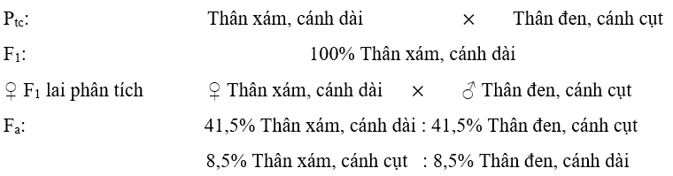 Lý thuyết Liên kết gene và hoán vị gene (Sinh 12 Kết nối tri thức Bài 11)