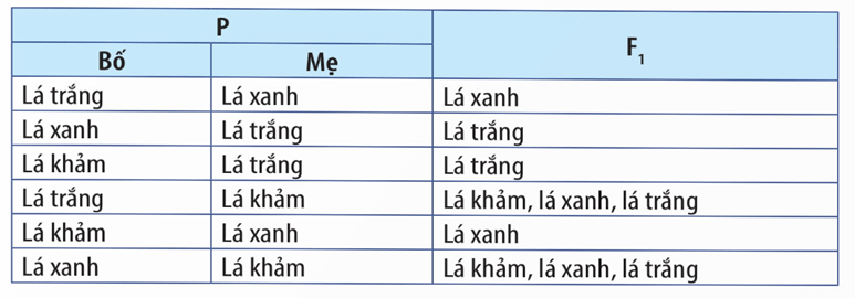 Lý thuyết Di truyền gene ngoài nhân (Sinh 12 Kết nối tri thức Bài 15)