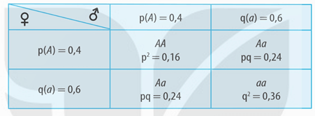 Lý thuyết Di truyền quần thể (Sinh 12 Kết nối tri thức Bài 18)