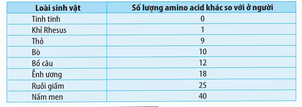 Lý thuyết Các bằng chứng tiến hoá (Sinh 12 Kết nối tri thức Bài 19)