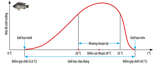 Lý thuyết Môi trường và các nhân tố sinh thái (Sinh 12 Kết nối tri thức Bài 23)