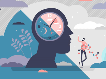 Lý thuyết Môi trường và các nhân tố sinh thái (Sinh 12 Kết nối tri thức Bài 23)