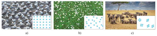 Lý thuyết Sinh thái học quần thể (Sinh 12 Kết nối tri thức Bài 24)