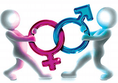 Lý thuyết Sinh thái học quần thể (Sinh 12 Kết nối tri thức Bài 24)