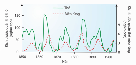 Lý thuyết Sinh thái học quần thể (Sinh 12 Kết nối tri thức Bài 24)