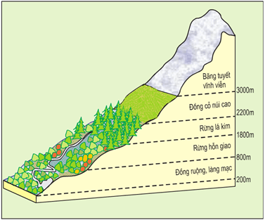 Lý thuyết Quần xã sinh vật (Sinh 12 Kết nối tri thức Bài 26)