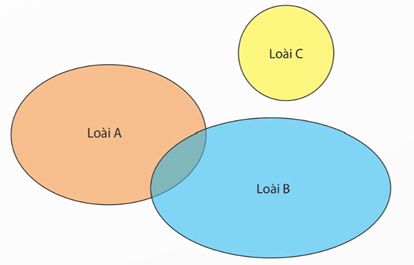Lý thuyết Quần xã sinh vật (Sinh 12 Kết nối tri thức Bài 26)