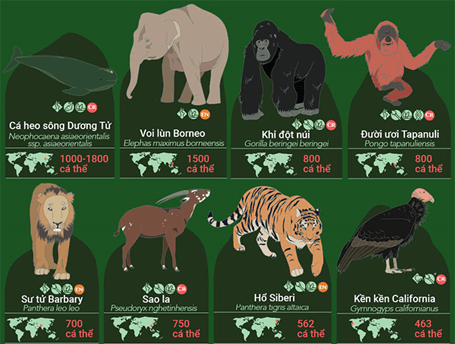 Lý thuyết Quần xã sinh vật (Sinh 12 Kết nối tri thức Bài 26)