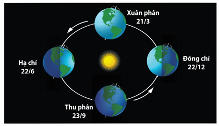 Lý thuyết Trao đổi vật chất và chuyển hoá năng lượng trong hệ sinh thái (Sinh 12 Kết nối tri thức Bài 29)