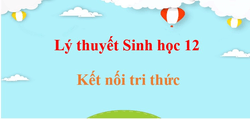 Tóm tắt Lý thuyết Sinh 12 Kết nối tri thức (hay, ngắn gọn) | Kiến thức trọng tâm Sinh học 12