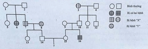 Trắc nghiệm Sinh học 12 Kết nối tri thức Bài 13 (có đáp án): Di truyền học người và di truyền y học