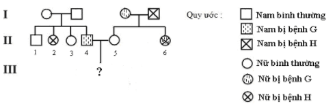 Trắc nghiệm Sinh học 12 Kết nối tri thức Bài 13 (có đáp án): Di truyền học người và di truyền y học