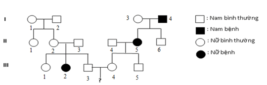 Trắc nghiệm Sinh học 12 Kết nối tri thức Bài 13 (có đáp án): Di truyền học người và di truyền y học