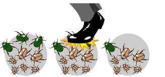 Trắc nghiệm Sinh học 12 Kết nối tri thức Bài 21 (có đáp án): Học thuyết tiến hoá tổng hợp hiện đại