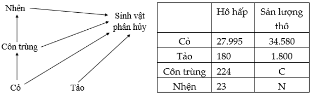 Trắc nghiệm Sinh học 12 Kết nối tri thức Bài 30 (có đáp án): Diễn thế sinh thái