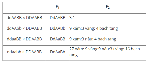 Trắc nghiệm Sinh học 12 Kết nối tri thức Bài 9 (có đáp án): Mở rộng học thuyết Mendel