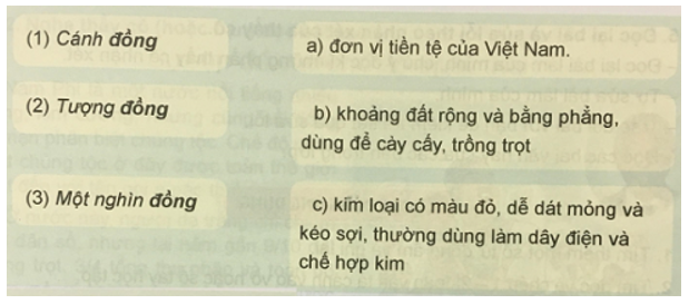 Tiếng Việt 5 VNEN Bài 5C: Tìm hiểu về từ đồng âm | Soạn Tiếng Việt lớp 5 VNEN hay nhất