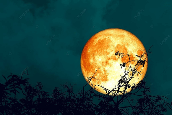 Soạn bài Đêm trăng và cây sồi | Ngắn nhất Soạn văn 12 Cánh diều