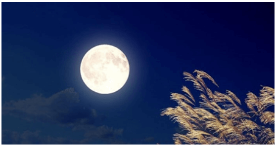 Soạn bài Ngắm trăng (Hồ Chí Minh) | Ngắn nhất Soạn văn 8