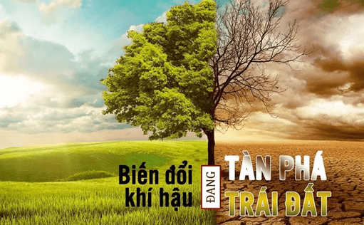 Soạn bài Biến đổi khí hậu - mối đe dọa sự tồn vong của hành tinh chúng ta | Ngắn nhất Soạn văn 9 Kết nối tri thức