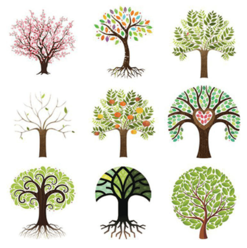 Top 15 Tóm tắt Tính cách của cây (hay, ngắn nhất) | Ngữ văn lớp 10 Kết nối tri thức
