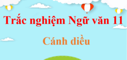 1 000 Câu hỏi trắc nghiệm Ngữ Văn lớp 11 có đáp án | Ngữ văn lớp 11 Cánh diều