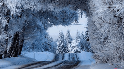 Soạn bài Con đường mùa đông | Hay nhất Soạn văn 11 Kết nối tri thức