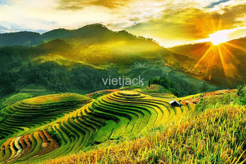 Hình ảnh quê hương đất nước con người Việt Nam tươi đẹp