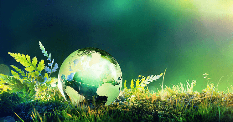 Soạn bài Trái Đất - cái nôi của sự sống | Hay nhất Soạn văn 6 Kết nối tri thức