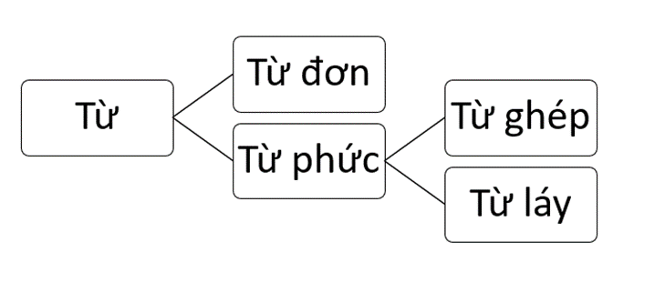 Vẽ sơ đồ cấu tạo từ