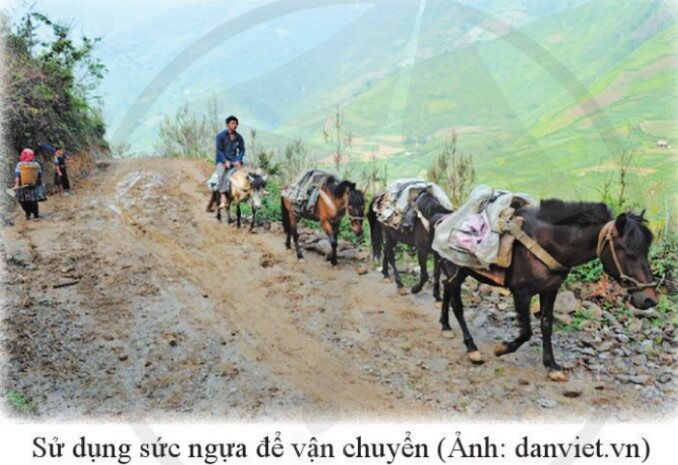 Top 20 Tóm tắt Phương tiện vận chuyển của các dân tộc thiểu số Việt Nam ngày xưa (hay, ngắn nhất)