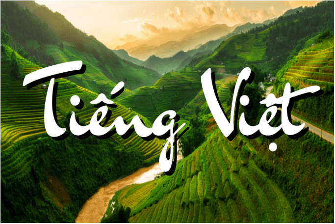 Top 30 Suy nghĩ về vẻ đẹp của tiếng Việt trong bài thơ Tiếng Việt